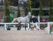 Cadoro Tosc Tour2013- S5 1625 : Arezzo, Cadoro, Cavalli d'Italia, Toscana Tour 2013, foto di Stefano Secchi ©